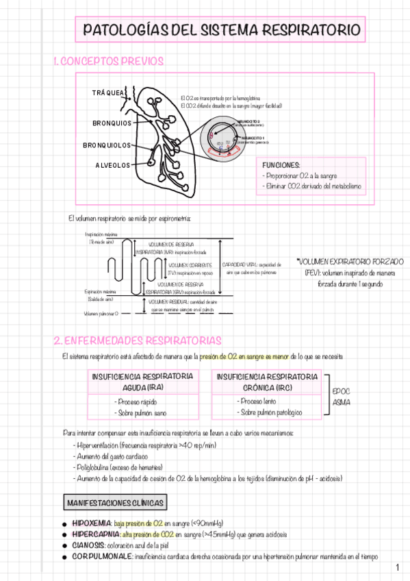 Miniatura del documento TEMA 3-Sistema respiratorio.pdf