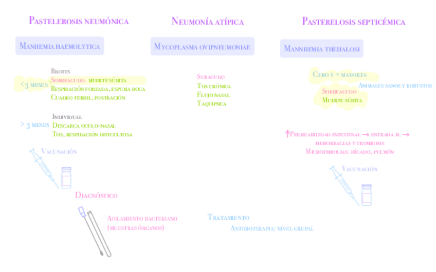 Miniatura del documento Infecciosas-ovino.pdf