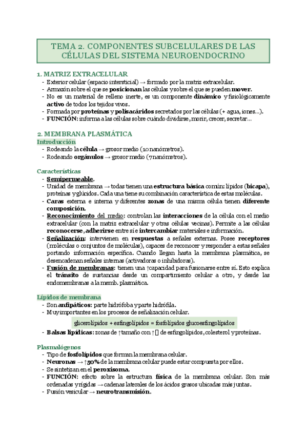 Miniatura del documento TEMA-2.pdf