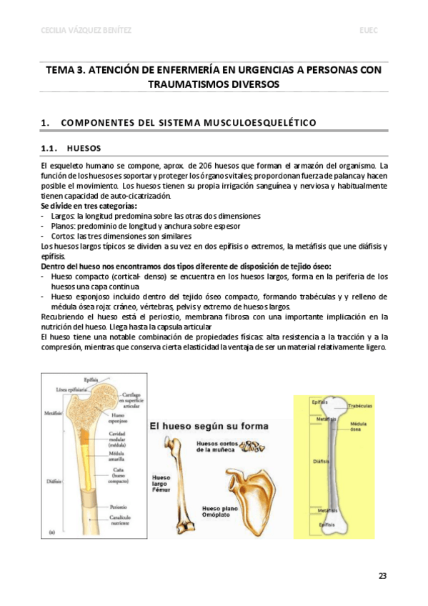 Miniatura del documento TEMA-3-EUEC.pdf