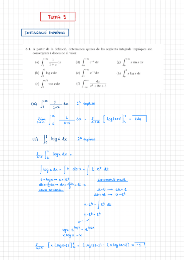 Miniatura del documento CAL. Integración indefinidad (T5) RESUELTOS.pdf