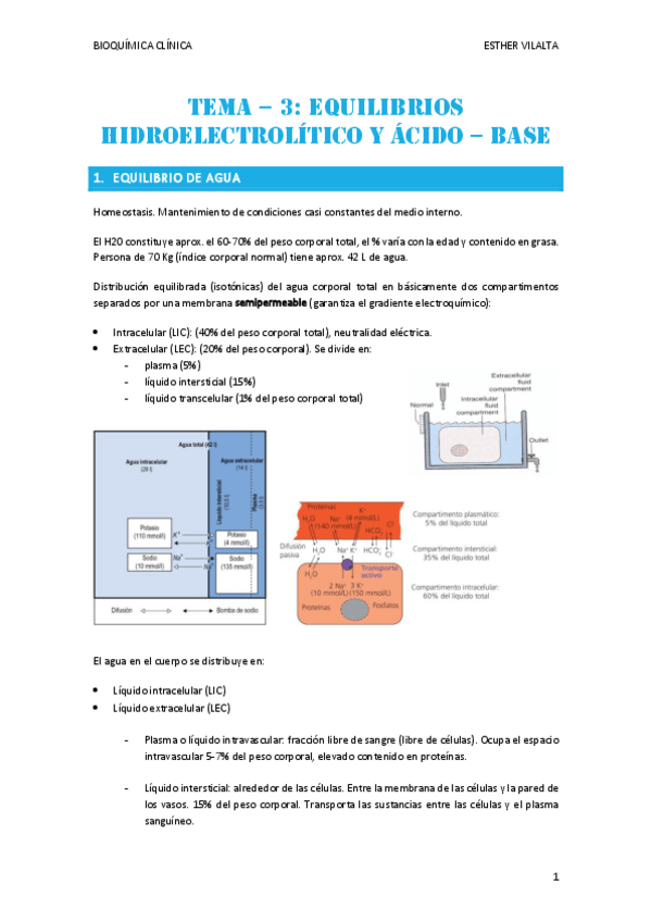 Miniatura del documento tema3.pdf