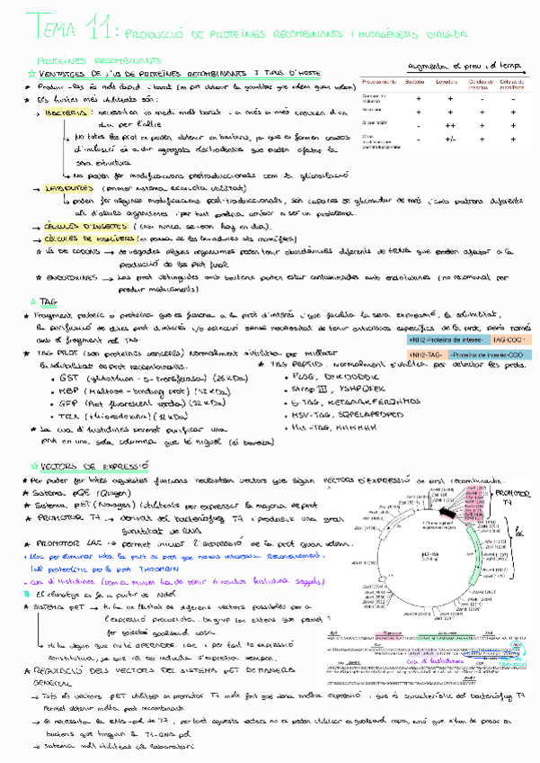 Miniatura del documento Tema-11BMol.pdf