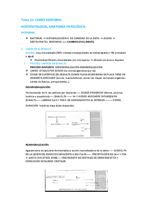 Miniatura del documento TEMA-10.pdf