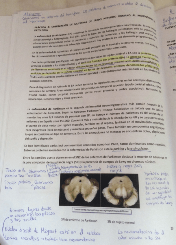 Miniatura del documento Prácticas  .pdf