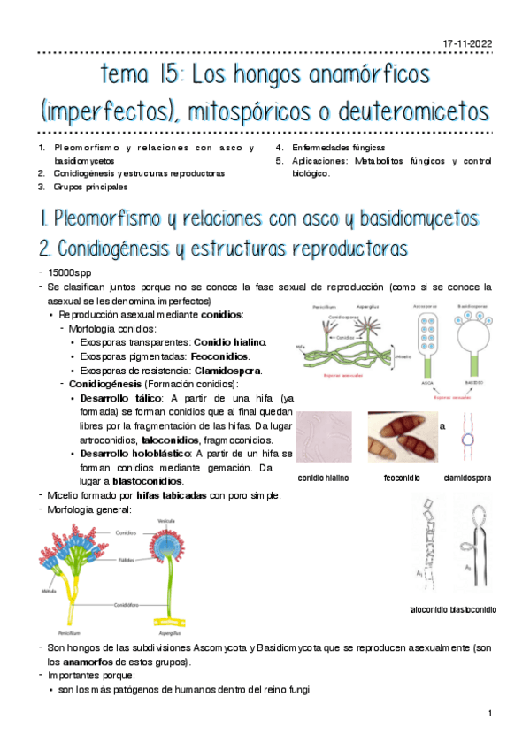 Miniatura del documento tema-15.pdf