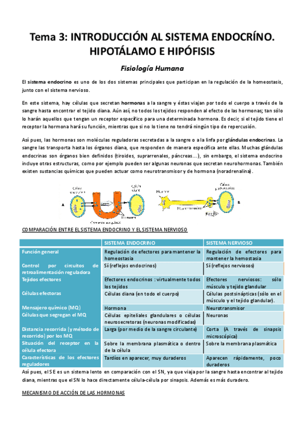Miniatura del documento Tema-3-Introduccion-al-sistema-endocrino.pdf