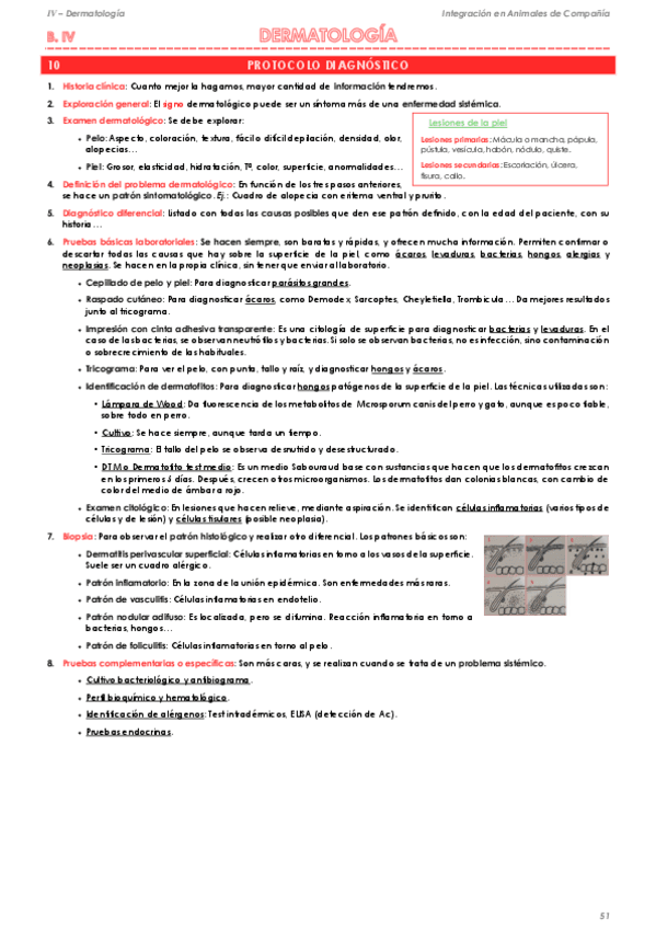 Miniatura del documento 04 Derma.pdf