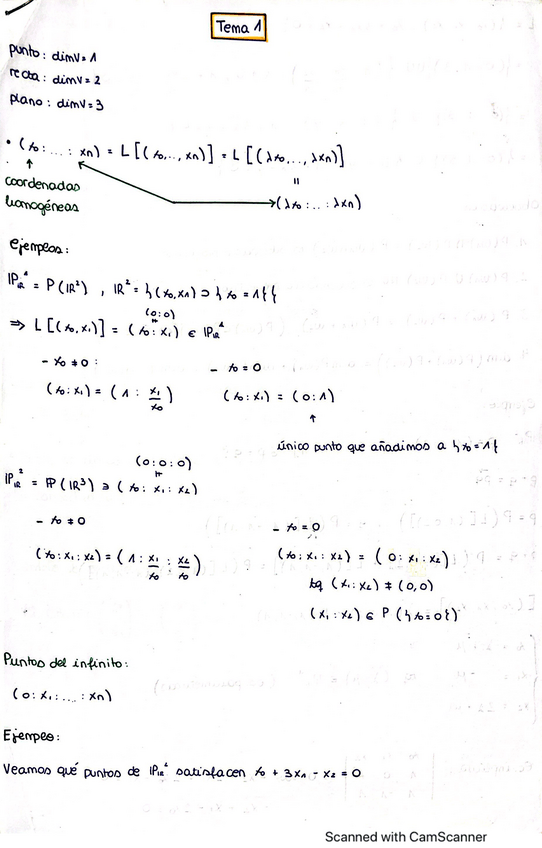 Miniatura del documento Resumen-GL-con-ejercicios-Giraldo-y-Xav.pdf