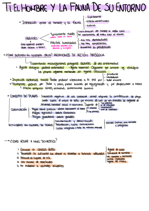 Miniatura del documento Esquema con lo mas importante T1 y T2