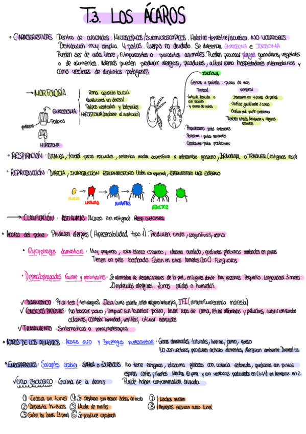 Miniatura del documento Esquema con lo mas importante T3