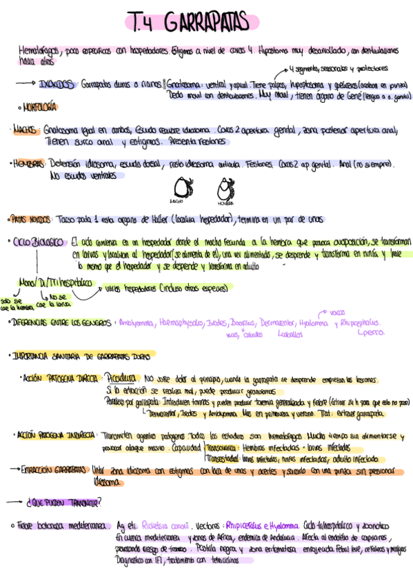 Miniatura del documento Resumen-Por-Temas-3.pdf