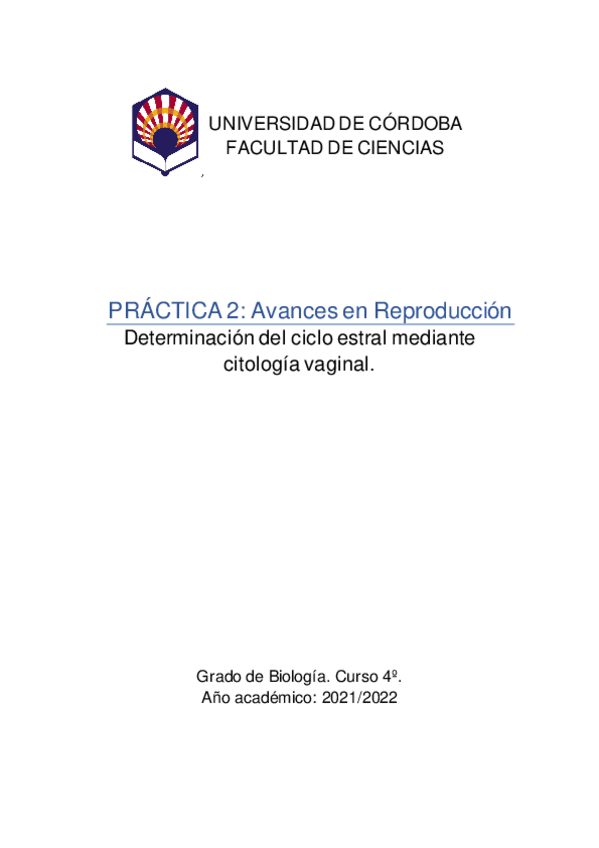 Miniatura del documento Practica-2-AR.pdf