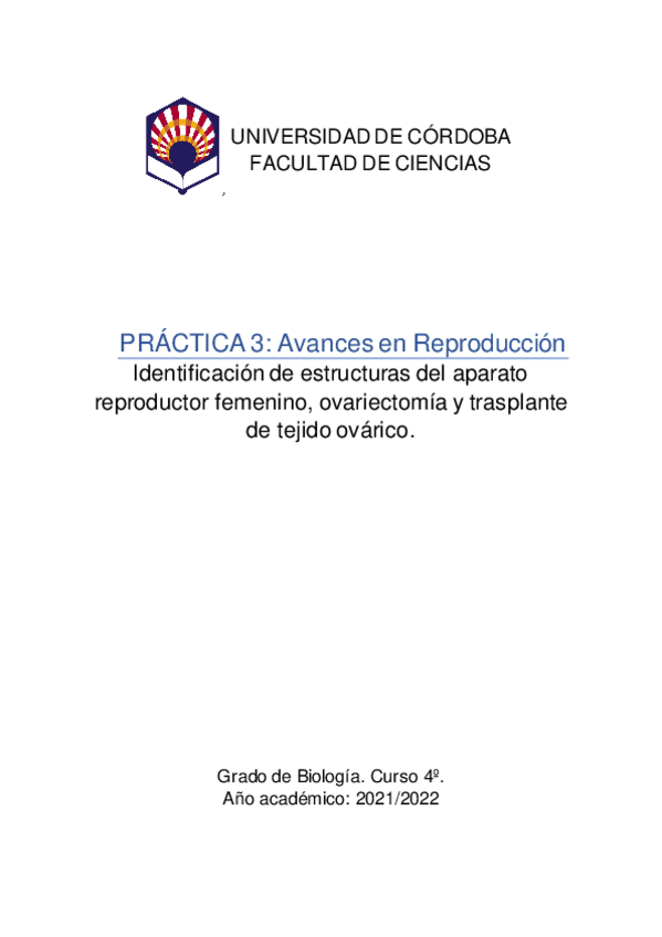 Miniatura del documento Practica-3-AR.pdf