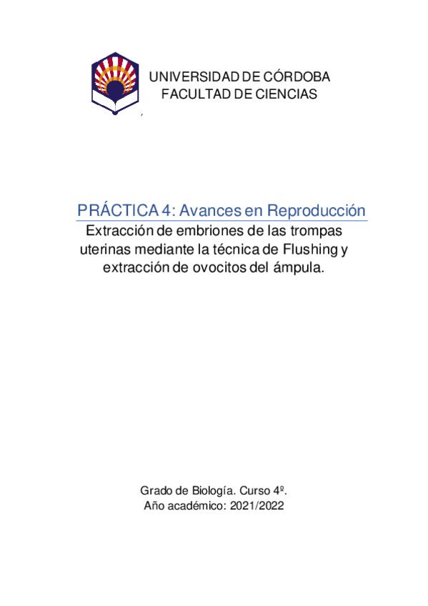 Miniatura del documento Practica-4-AR.pdf