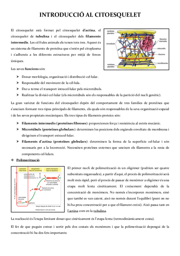 Miniatura del documento Bloc-I.-Citoesquelet-i-Moviment-Cellular.pdf