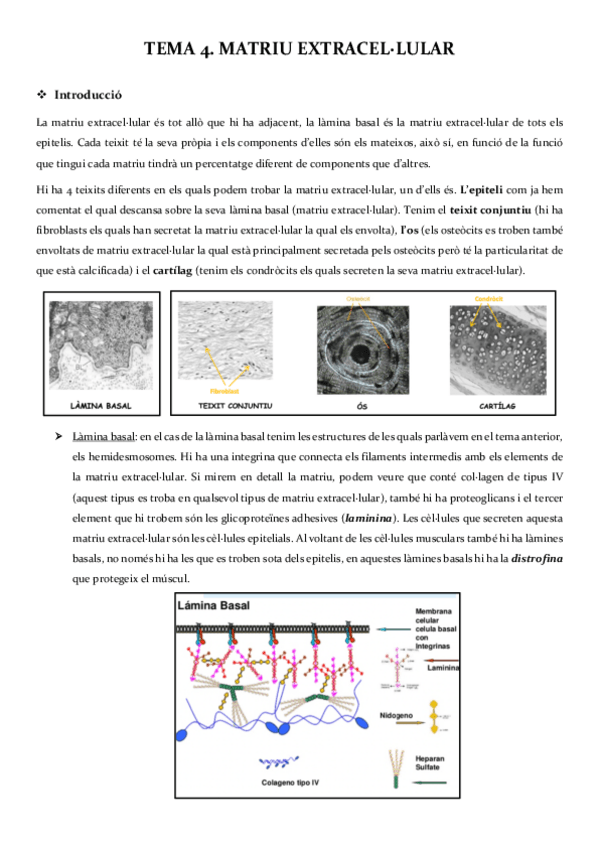 Miniatura del documento Bloc-II-Matriu-Adhesio-i-Senyalitzacio.pdf