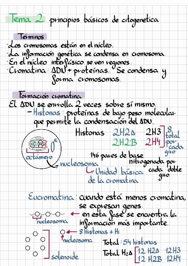 Miniatura del documento Notes221130155429.pdf