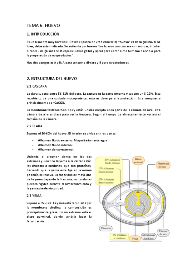 Miniatura del documento TEMA-6. Huevo