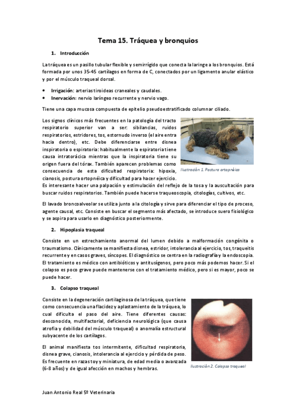 Miniatura del documento Tema-15.pdf