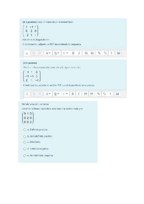 Miniatura del documento EXAMEN-MATRICES.pdf