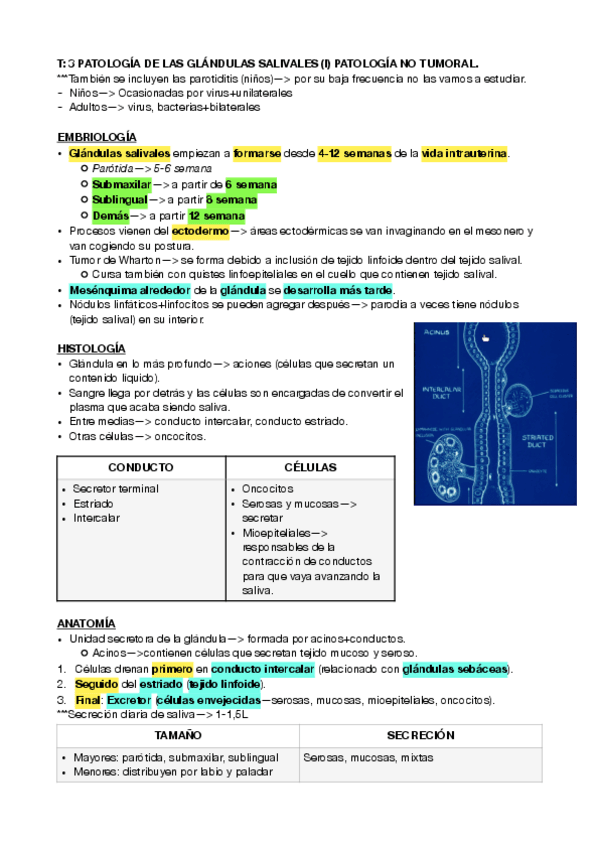 Miniatura del documento maxilo-3-y-4.pdf