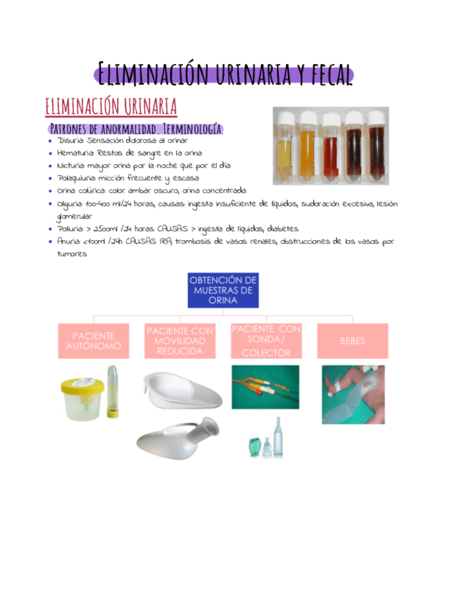 Miniatura del documento Eliminacion-urinaria-y-fecal-.pdf