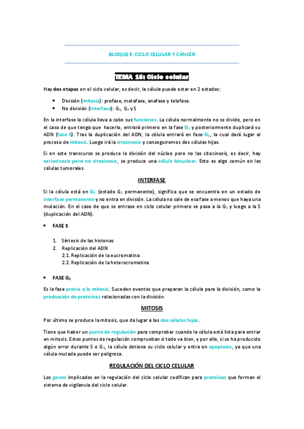 Miniatura del documento Bloque-5-CTO.pdf