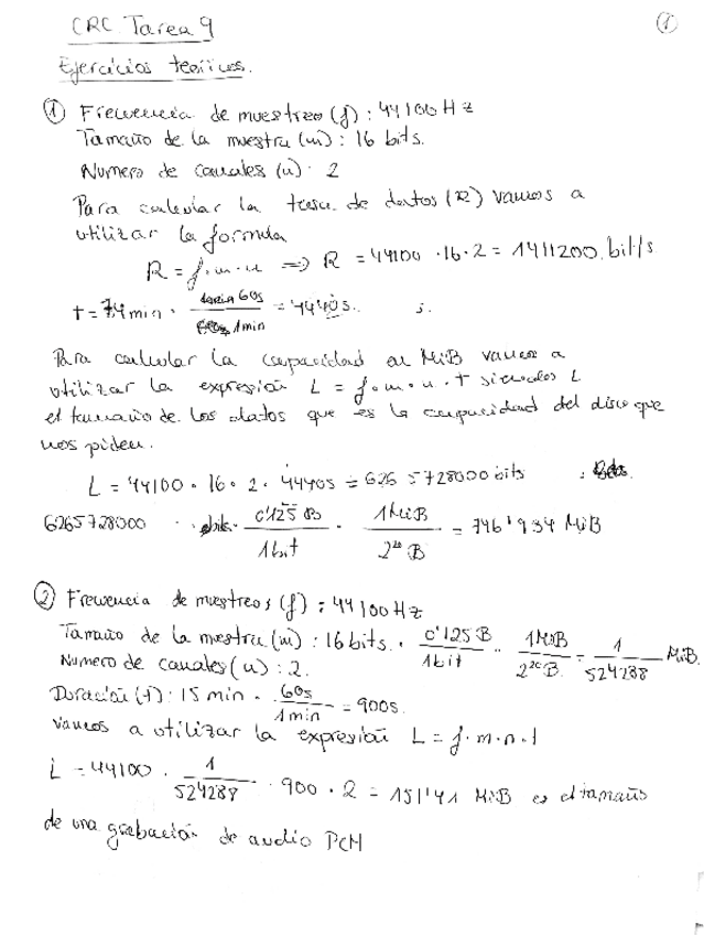 Miniatura del documento AcostaMunizCristinaTarea9CRCEjTeoricos.pdf