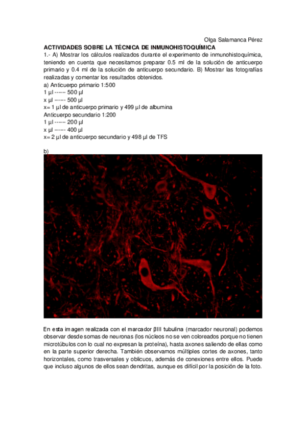 Miniatura del documento Informe-practicas-2022-20223.pdf