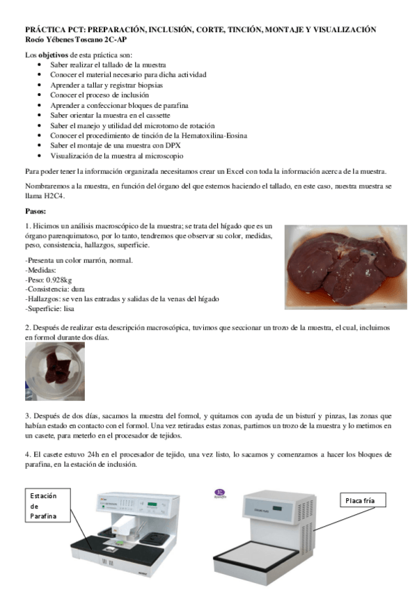 Miniatura del documento PRACTICA-2-PCT.pdf