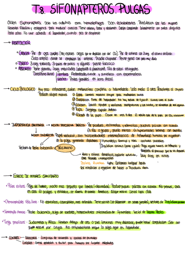 Miniatura del documento Resumen-Por-Temas-7.pdf