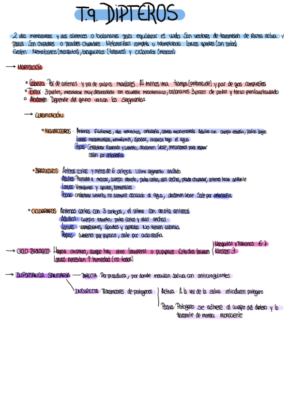 Miniatura del documento Resumen-Por-Temas-8.pdf