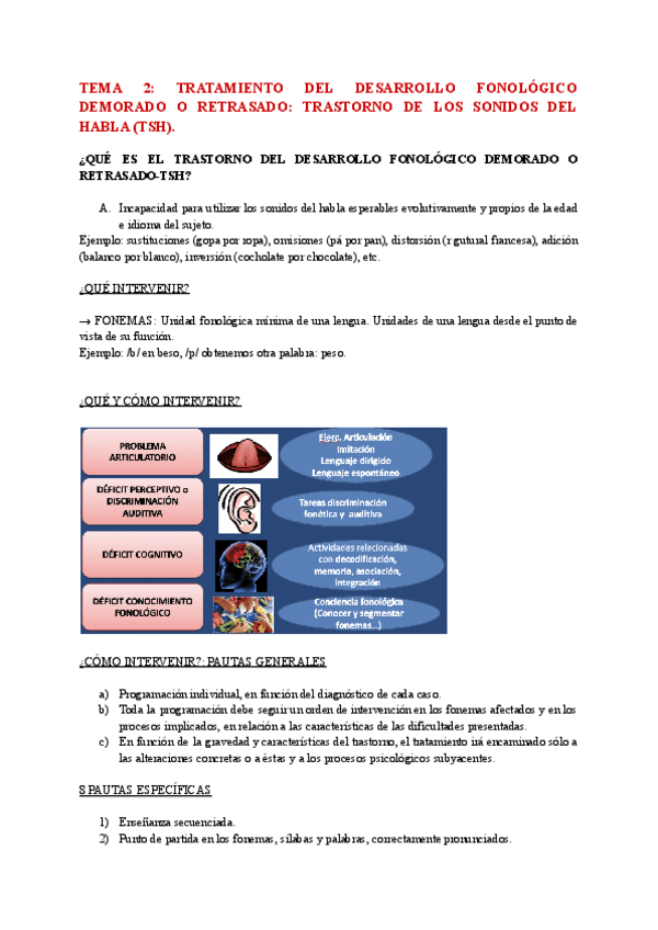 Miniatura del documento TEMA-2-TRATAMIENTO-DEL-DESARROLLO-FONOLOGICO-DEMORADO-O-RETRASADO-TRASTORNO-DE-LOS-SONIDOS-DEL-HABLA-TSH.pdf