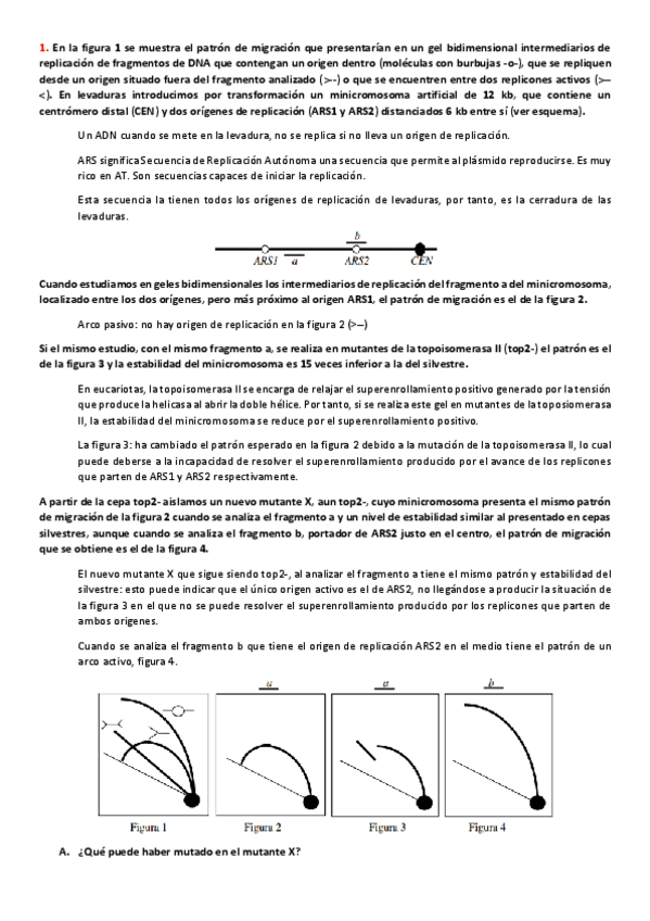 Miniatura del documento PROBLEMAS-1-a-7-y-27-a-31.pdf