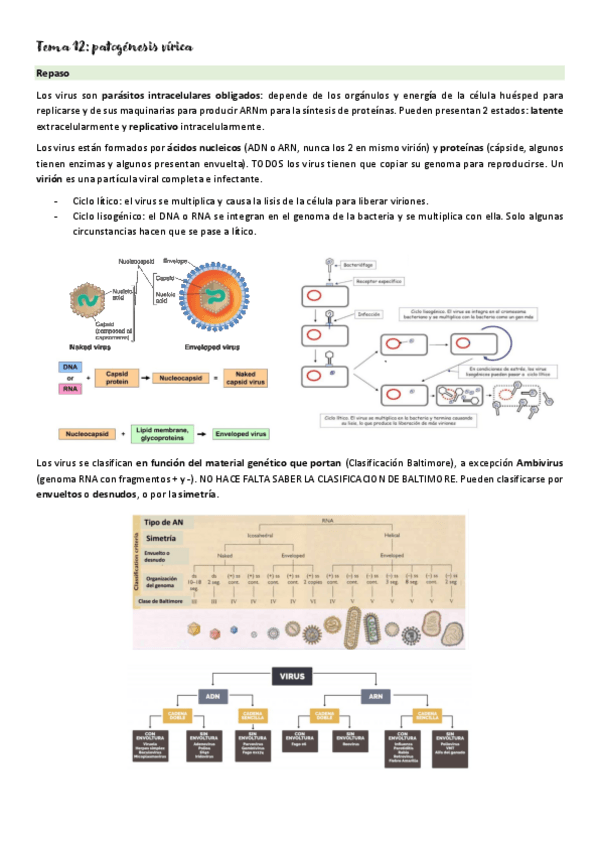 Miniatura del documento MICROMED-T12.pdf