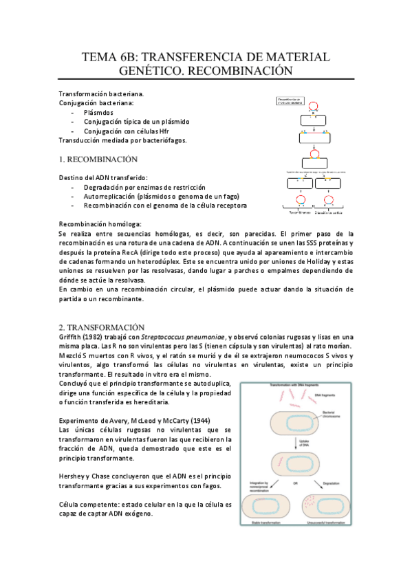 Miniatura del documento tema-6b.pdf