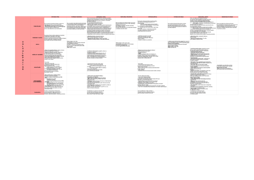Miniatura del documento VALVULOPATIAS-Hojas-de-calculo-de-Google.pdf