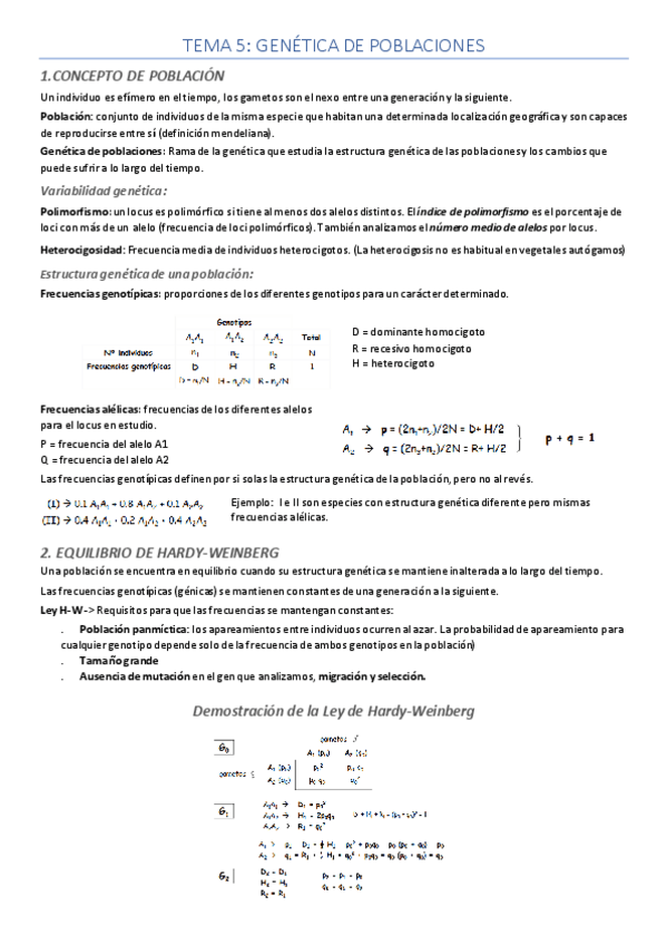 Miniatura del documento Apuntes-Tema-5.pdf
