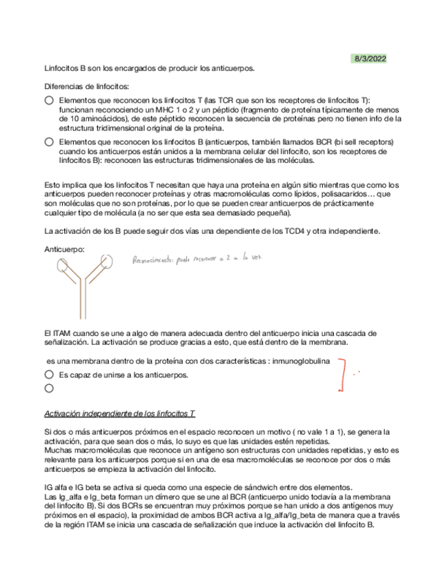 Miniatura del documento 10-Activacion-y-efectos-de-los-linfocitos-B.pdf