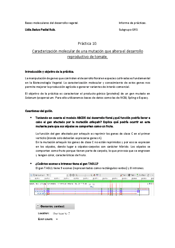 Miniatura del documento P10BMDVlidia.pdf