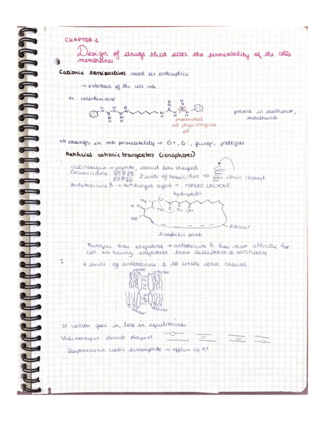 Miniatura del documento apuntes-quifar-II.pdf