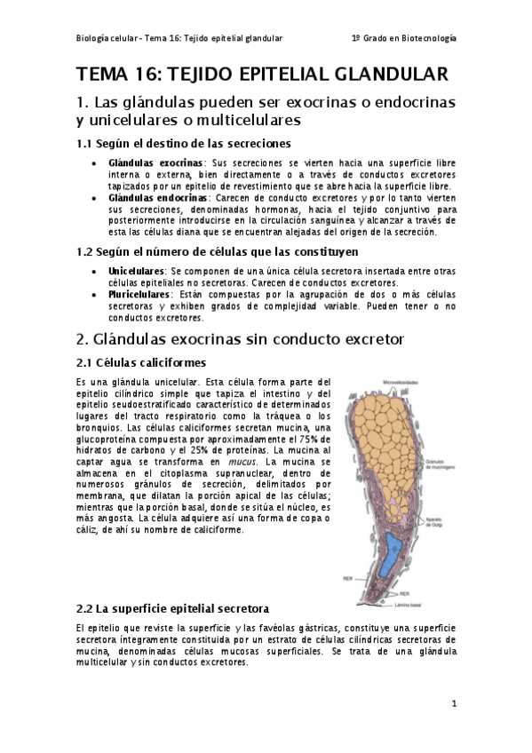 Miniatura del documento Tema-16.pdf
