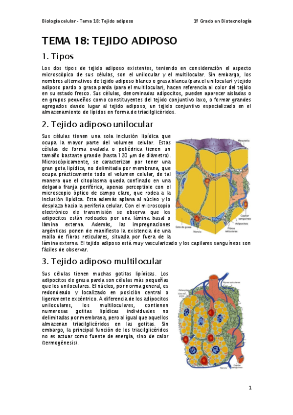 Miniatura del documento Tema-18.pdf
