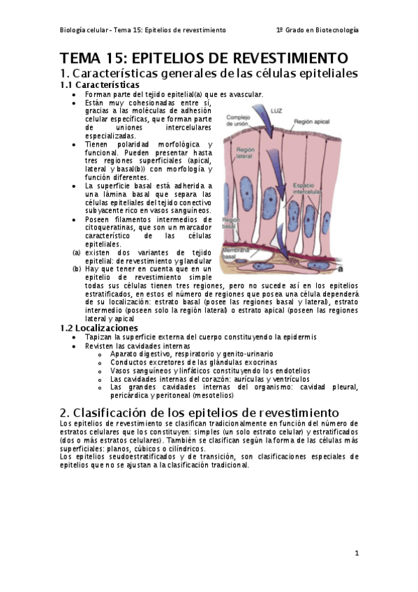 Miniatura del documento Tema-15.pdf