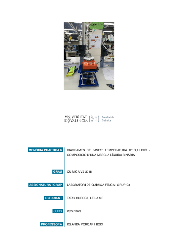 Miniatura del documento MEMRIAP6LEILAMEI.pdf
