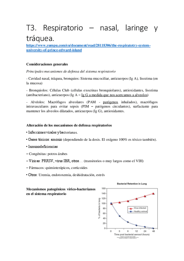 Miniatura del documento T3.pdf
