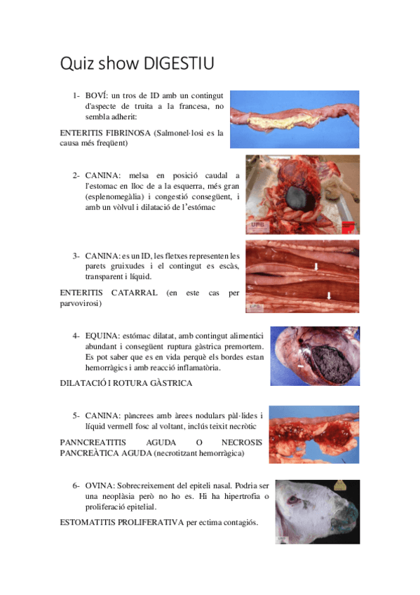 Miniatura del documento Repas-lesions-digestives.pdf