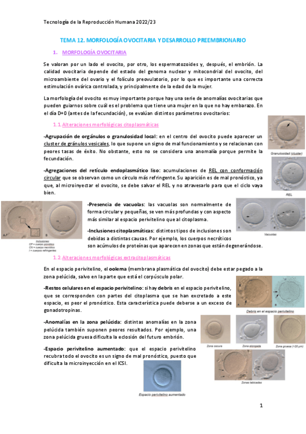 Miniatura del documento Tema-12.pdf