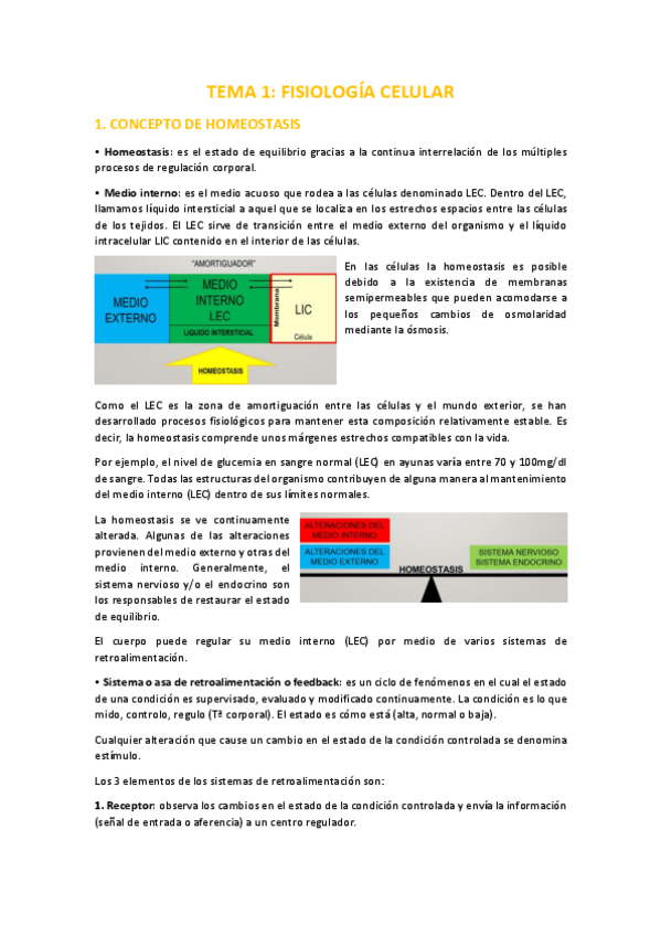 Miniatura del documento TEMA-1-FISOLOGIA-CELULAR.pdf